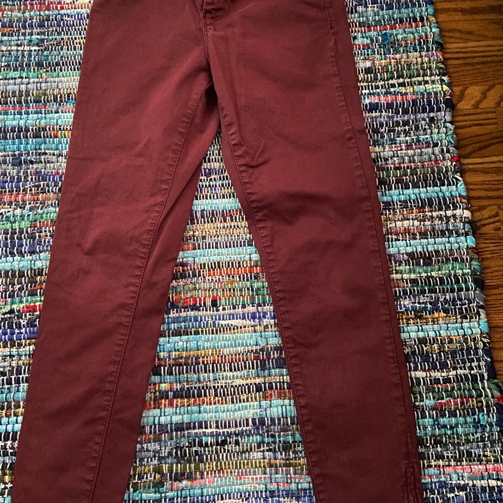Zara skinny pant